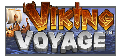 Viking Voyage